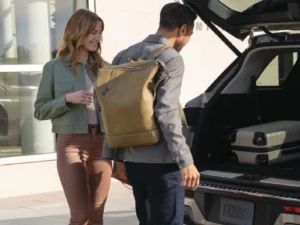 Discover programs d 300x225