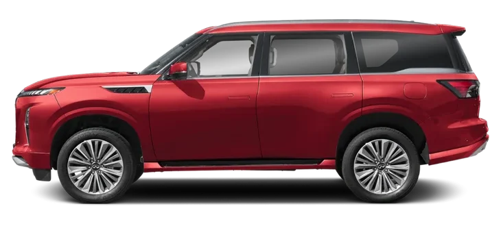 Qx802026 e1772821416728